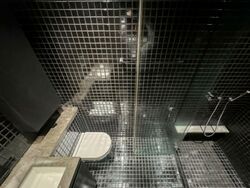 Skysuites@Anson (D2), Apartment #557836581